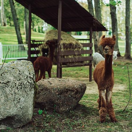 Taujenu Dvaro Sveciu Namai Towiany Extérieur photo