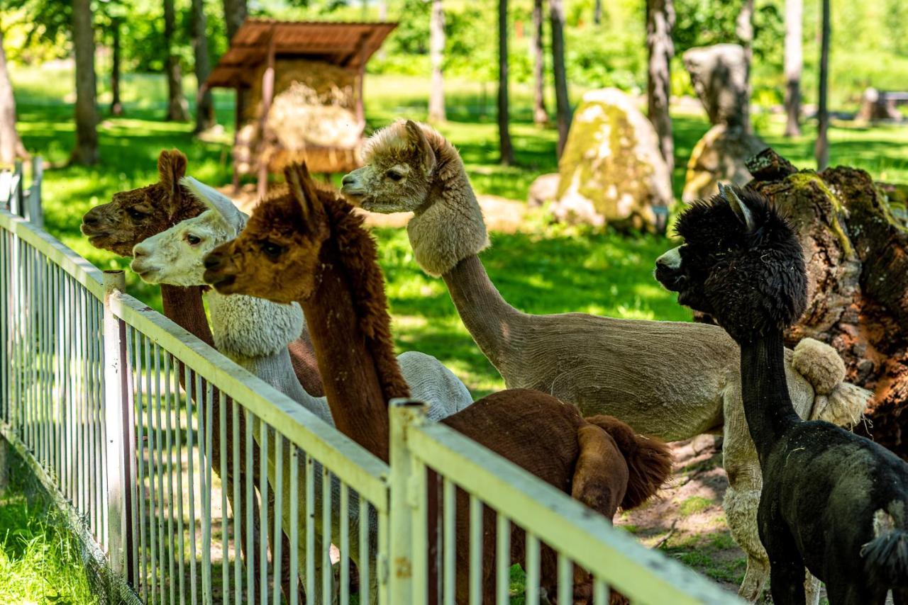 Taujenu Dvaro Sveciu Namai Towiany Extérieur photo